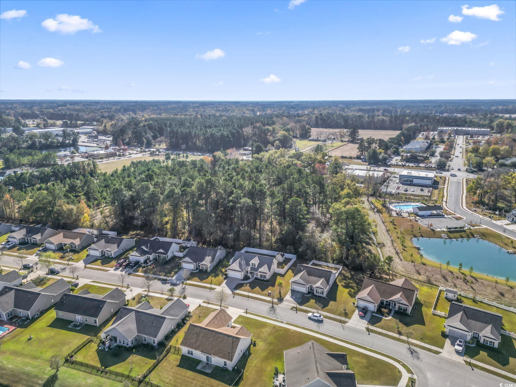 1448 Tiger Grand Drive Conway, SC 29526 - Photo 39 of 40