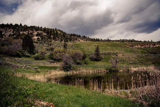 $1,750,900 | Tbd Douglas Pass Road, De Beque, CO 81630