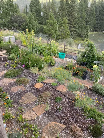 $1,750,900 | Tbd Douglas Pass Road, De Beque, CO 81630