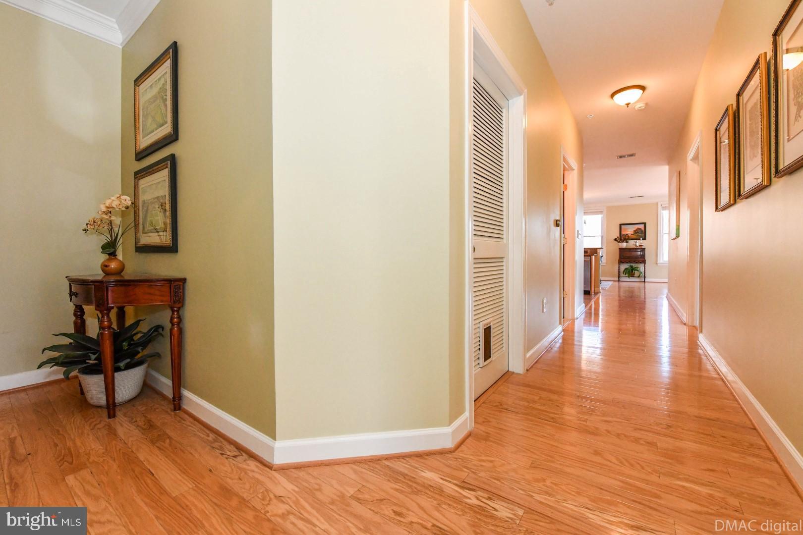 35 East All Saints Street, Unit 104 Frederick, MD 21701 - Photo 3 of 46 Great view of entry leading down the center hall.