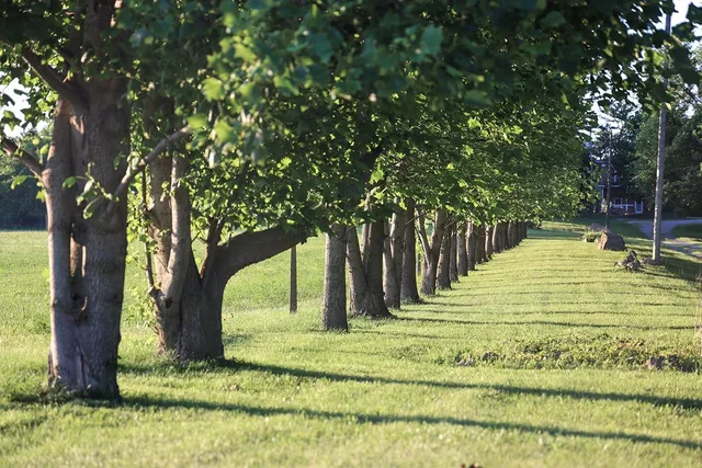 $699,900 | 7382 East 750 South, South Whitley, IN 46787