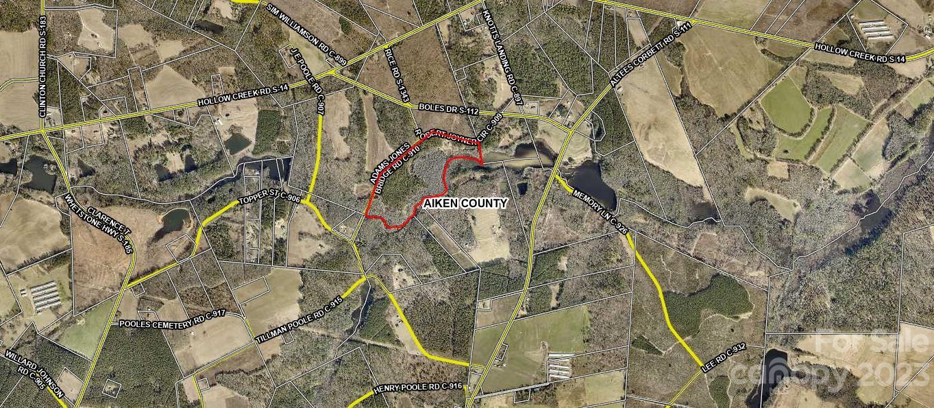 149 Robert Joyner Circle Salley, SC 29137 - Photo 25 of 48 a picture of the tree