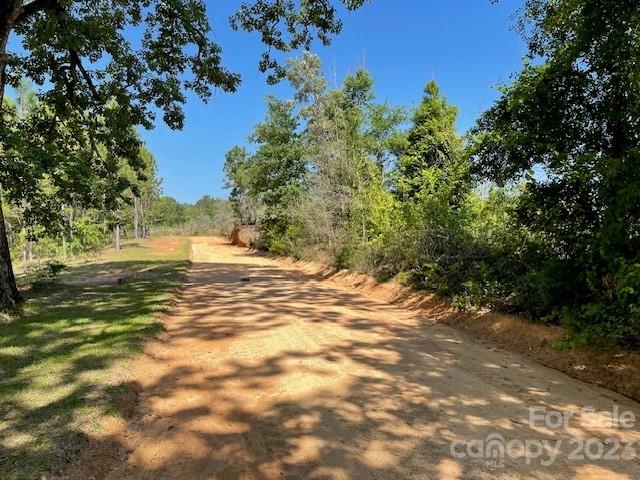 149 Robert Joyner Circle Salley, SC 29137 - Photo 29 of 48 a view of a yard with a tree