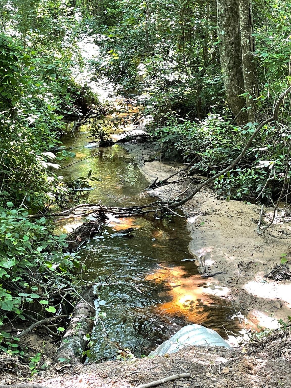 149 Robert Joyner Circle Salley, SC 29137 - Photo 46 of 48 a view of lake