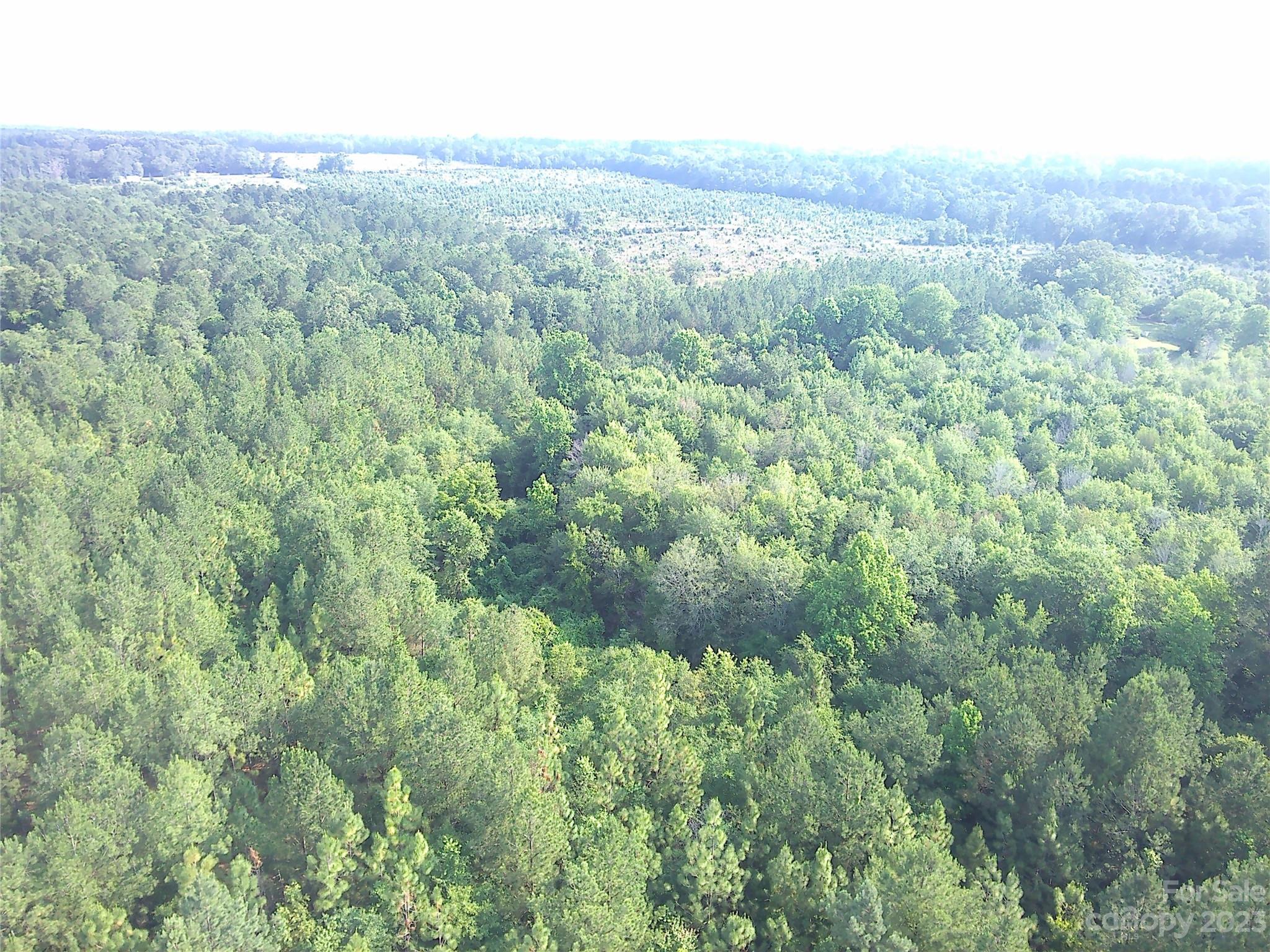 149 Robert Joyner Circle Salley, SC 29137 - Photo 48 of 48 a view of a forest with a street