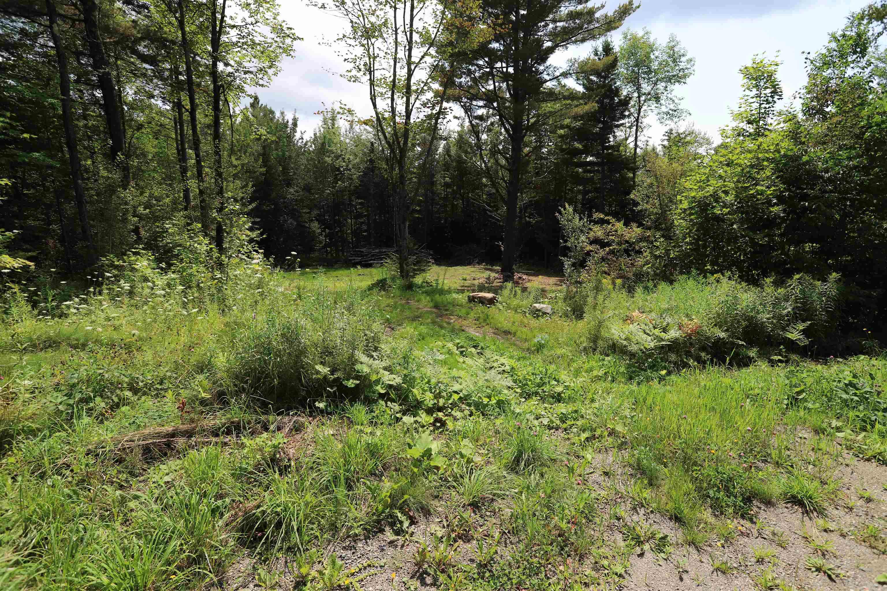 0 Collins Mill Road Newport Center, VT 05857 - Photo 4 of 16