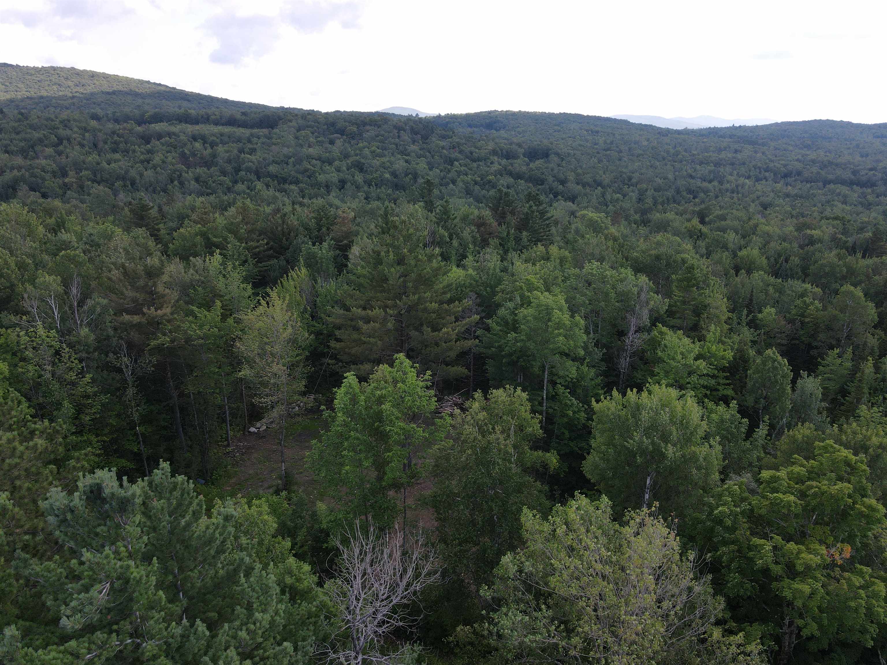 0 Collins Mill Road Newport Center, VT 05857 - Photo 7 of 16