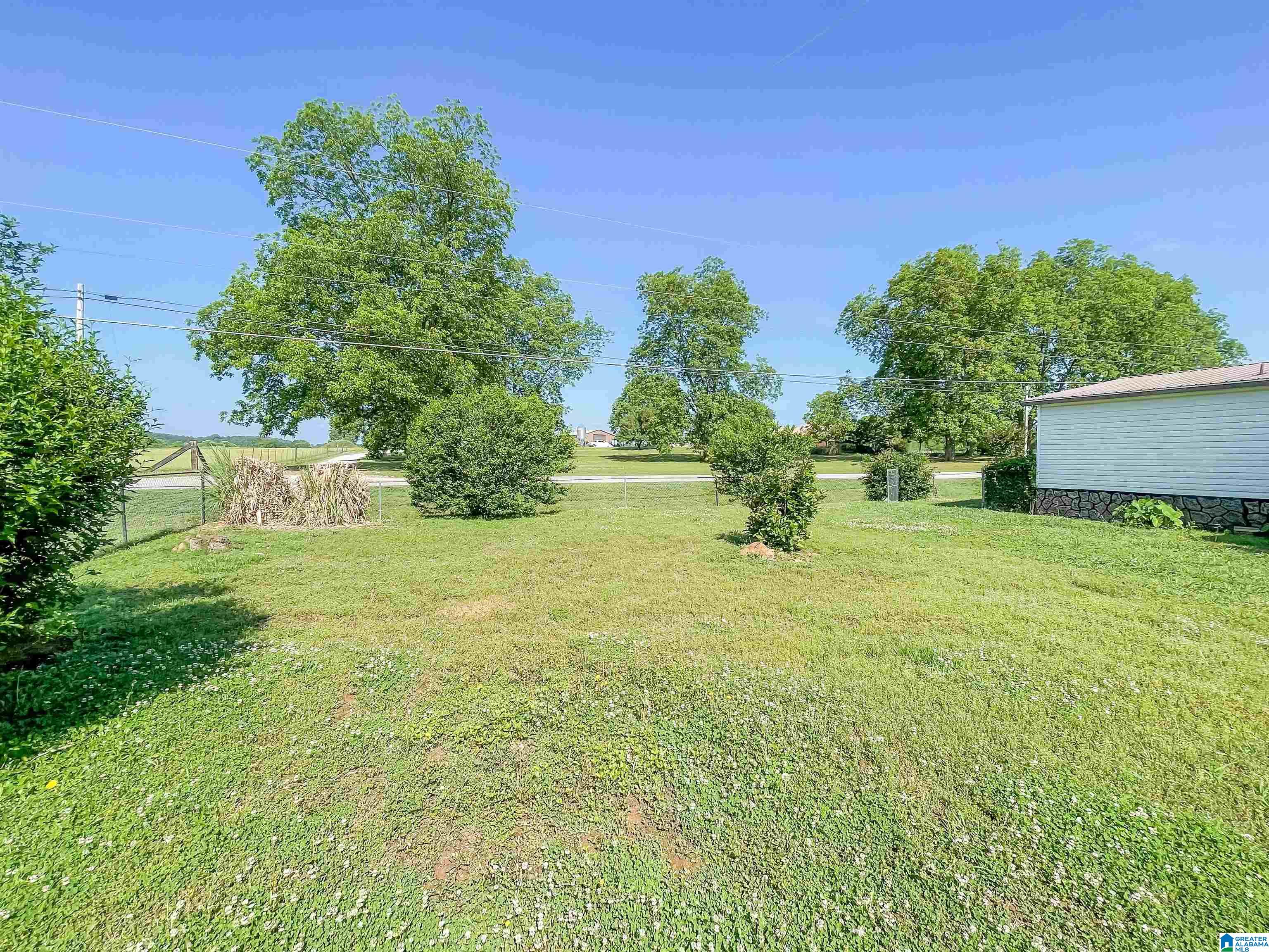 12 Arika Lane Ohatchee, AL 36271 - Photo 9 of 31