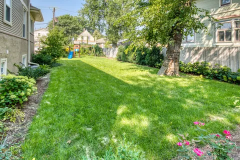 a view of a yard with plants and large trees