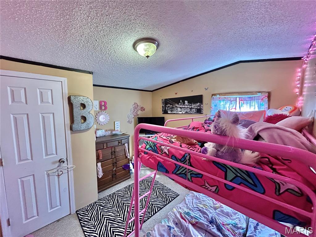 45463 Highway 72 Salem, MO 65560 - Photo 38 of 61