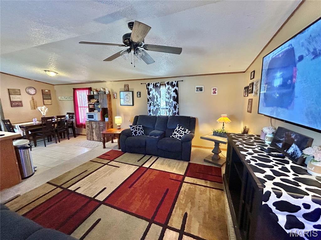 45463 Highway 72 Salem, MO 65560 - Photo 40 of 61