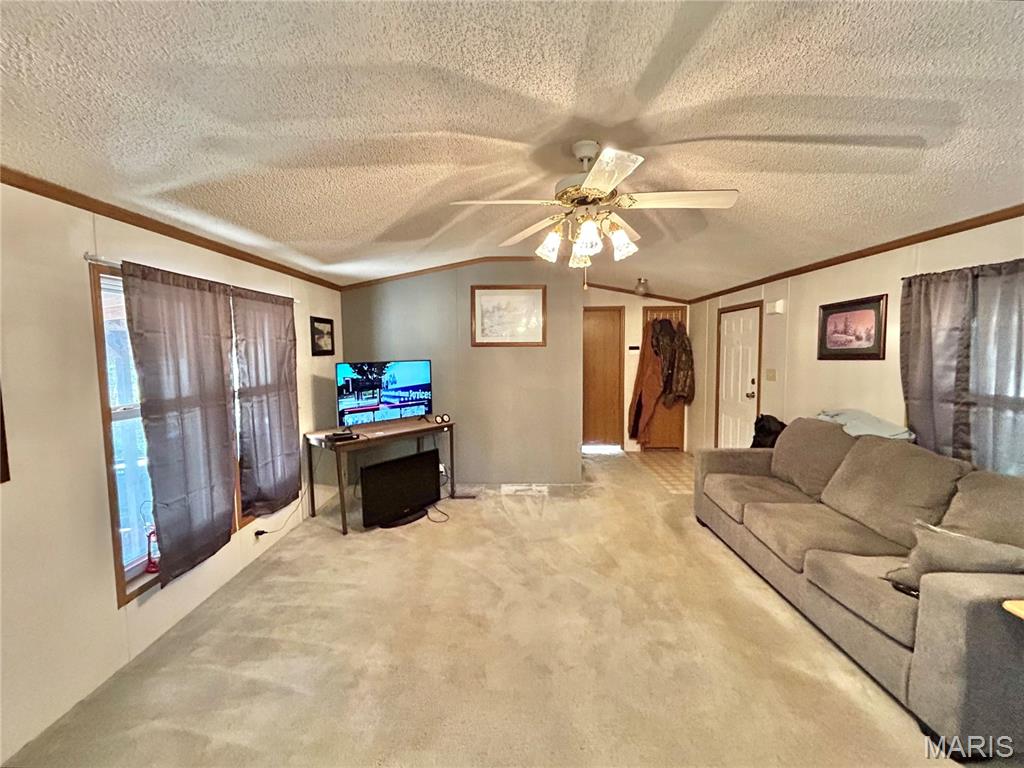 45463 Highway 72 Salem, MO 65560 - Photo 56 of 61