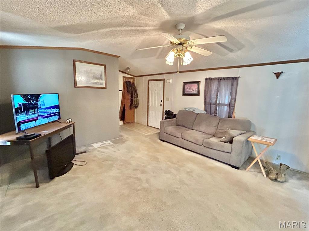 45463 Highway 72 Salem, MO 65560 - Photo 58 of 61