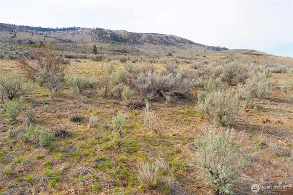 a view of a dry field