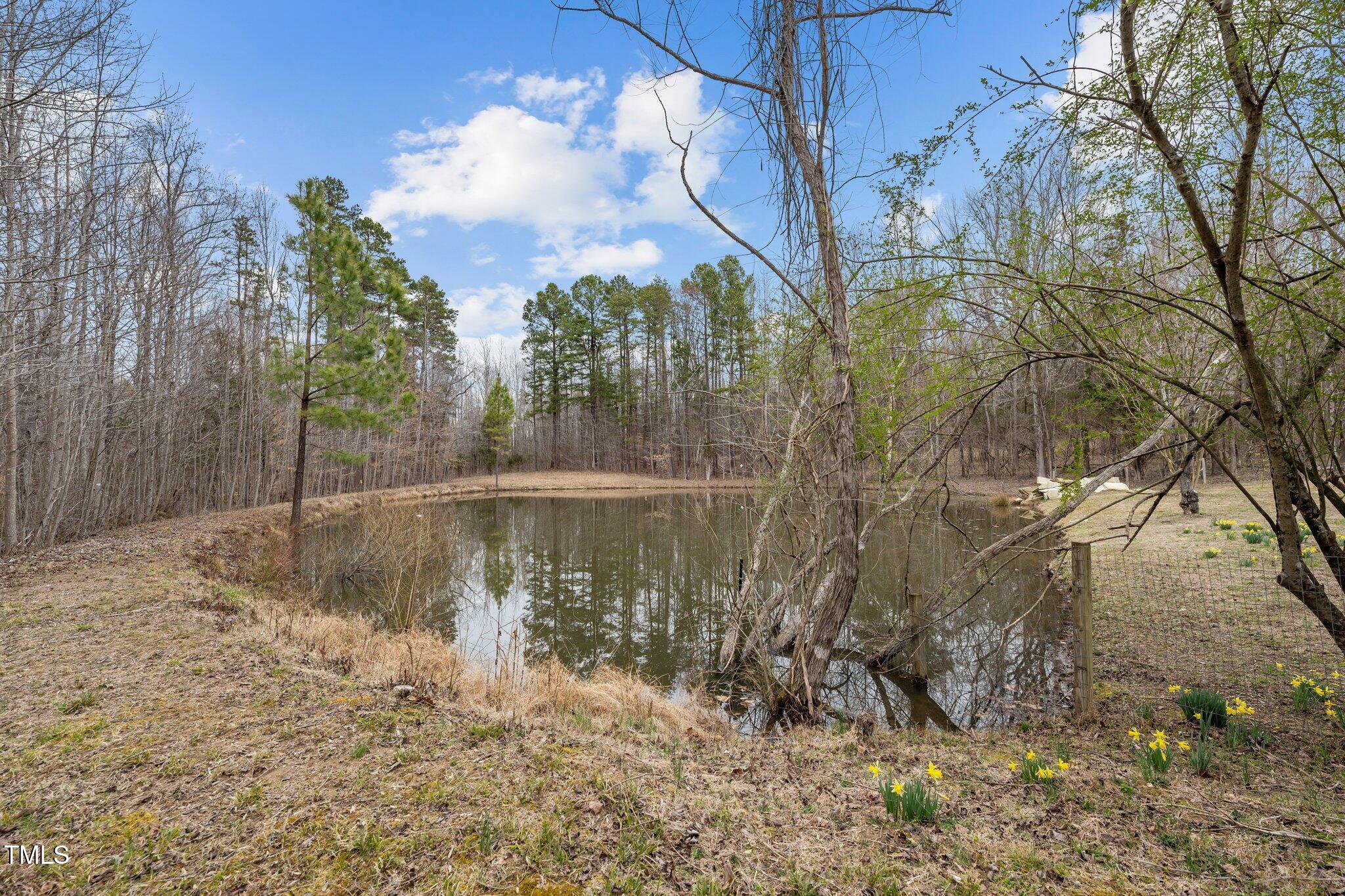 8717 Allison Road Cedar Grove, NC 27231 - Photo 40 of 86 33-web-or-mls-_1190473