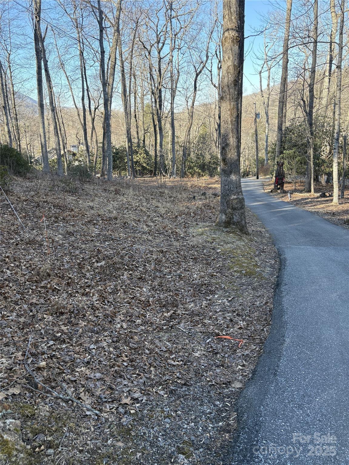 0 Fairway Loop, Unit 6 Burnsville, NC 28714 - Photo 2 of 8