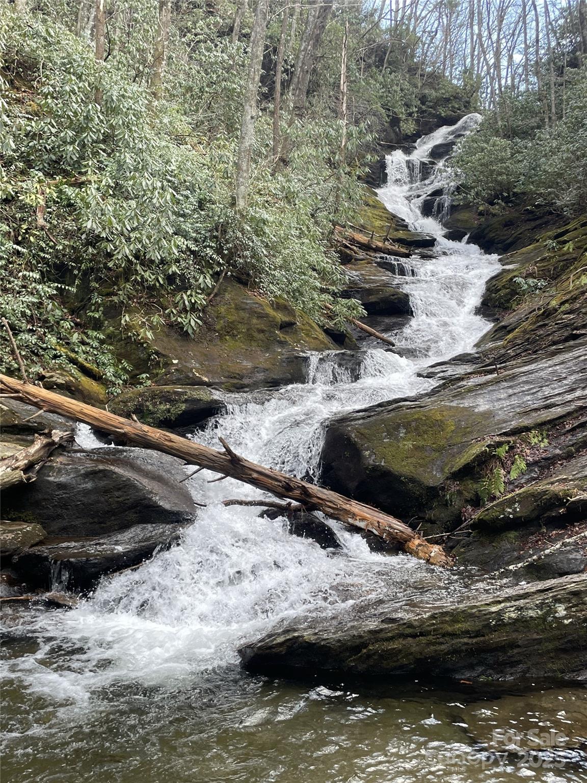 0 Fairway Loop, Unit 6 Burnsville, NC 28714 - Photo 3 of 8