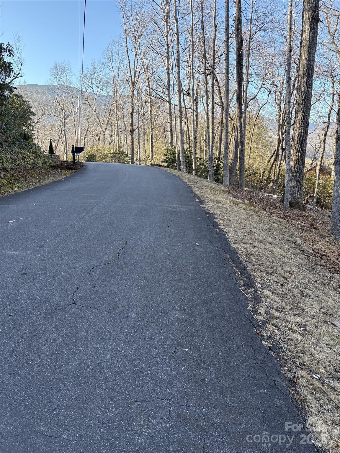 0 Fairway Loop, Unit 6 Burnsville, NC 28714 - Photo 5 of 8