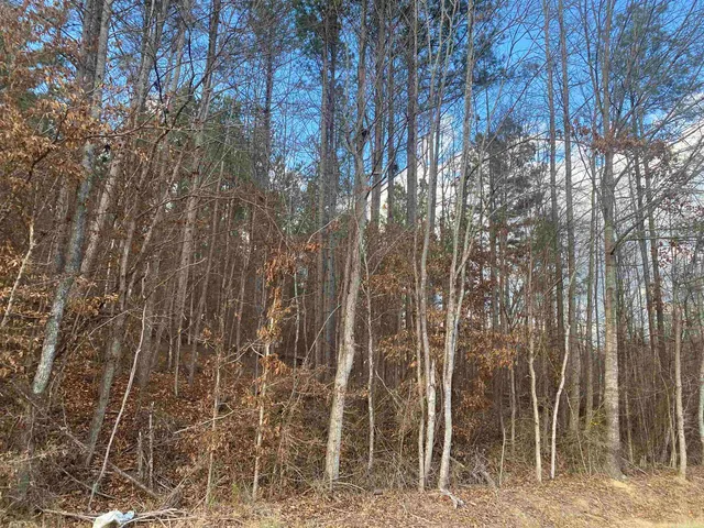 $49,999 | 3 Rose Creek Road, Hornsby, TN 38044