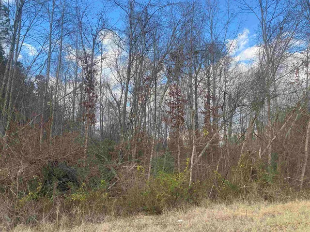 $49,999 | 3 Rose Creek Road, Hornsby, TN 38044