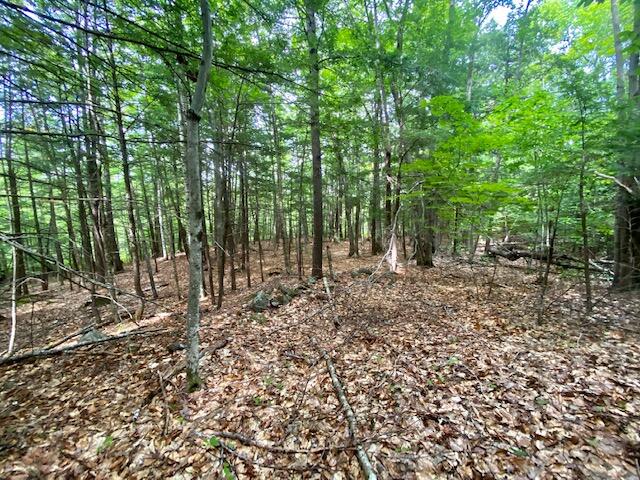 0 Richardson Road Limington, ME 04049 - Photo 15 of 15 IMG_3271