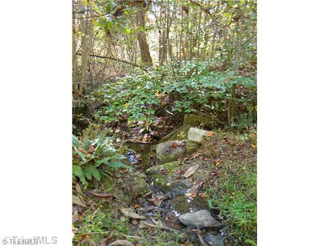 0 Old Mill Road Pinnacle, NC 27043 - Photo 3 of 7 Land. Nice creek