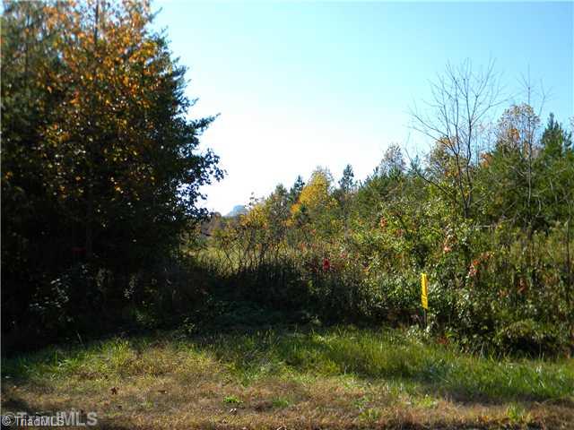 0 Old Mill Road Pinnacle, NC 27043 - Photo 6 of 7 Land.