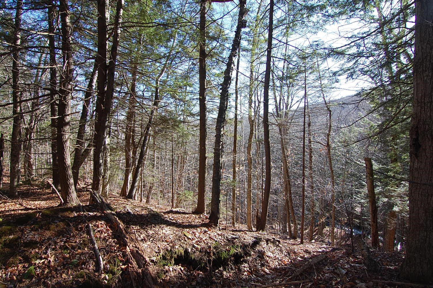 234 Mountain Road Stratton, VT 05360 - Photo 11 of 13