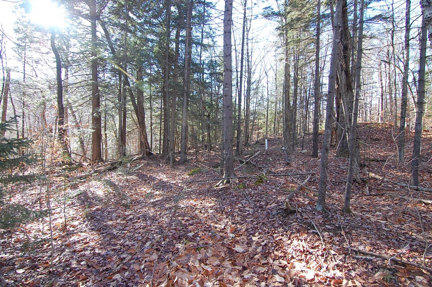 234 Mountain Road Stratton, VT 05360 - Photo 12 of 13