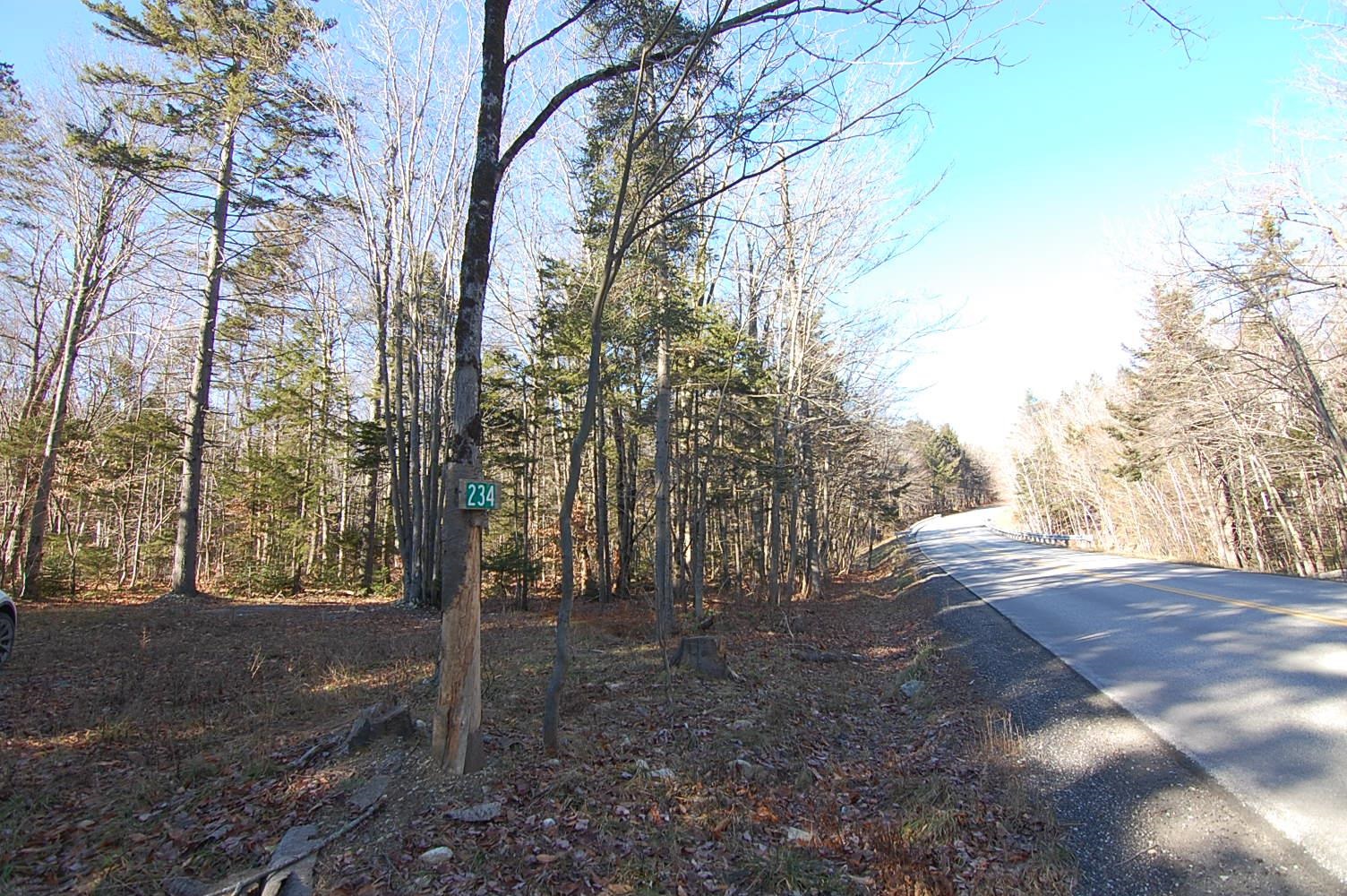 234 Mountain Road Stratton, VT 05360 - Photo 2 of 13