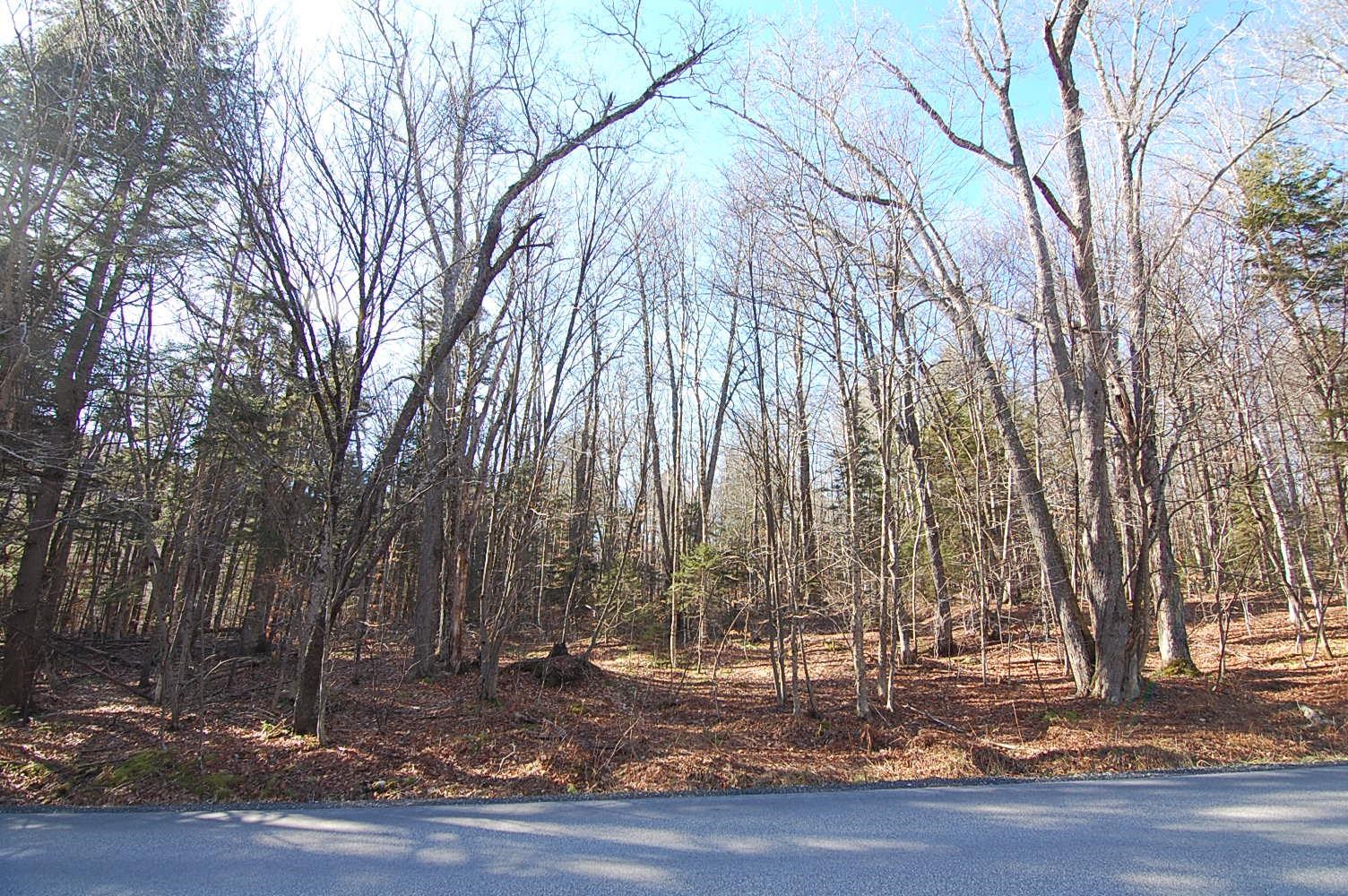 234 Mountain Road Stratton, VT 05360 - Photo 3 of 13