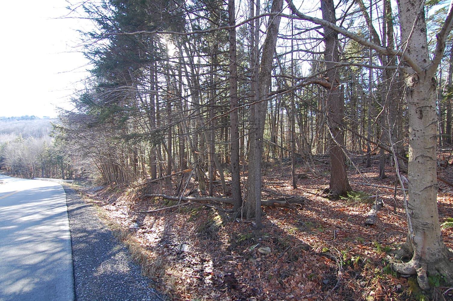 234 Mountain Road Stratton, VT 05360 - Photo 4 of 13