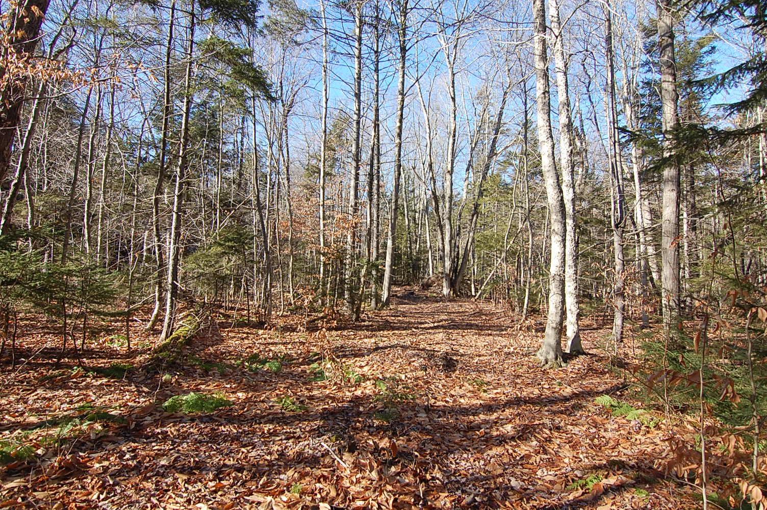 234 Mountain Road Stratton, VT 05360 - Photo 7 of 13