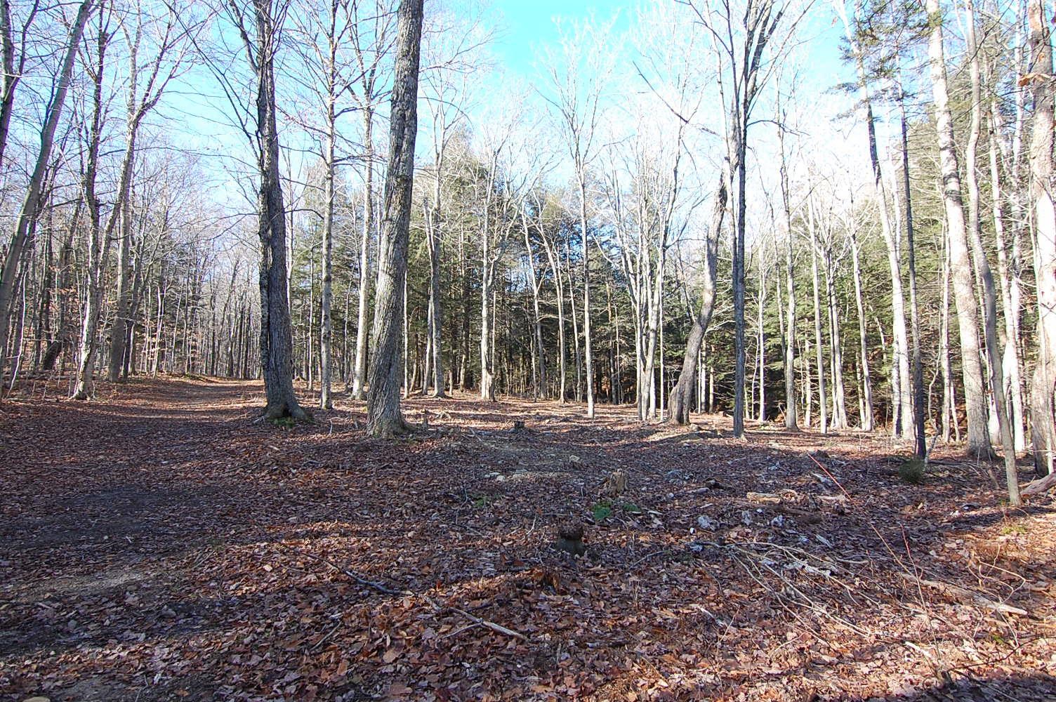 234 Mountain Road Stratton, VT 05360 - Photo 8 of 13