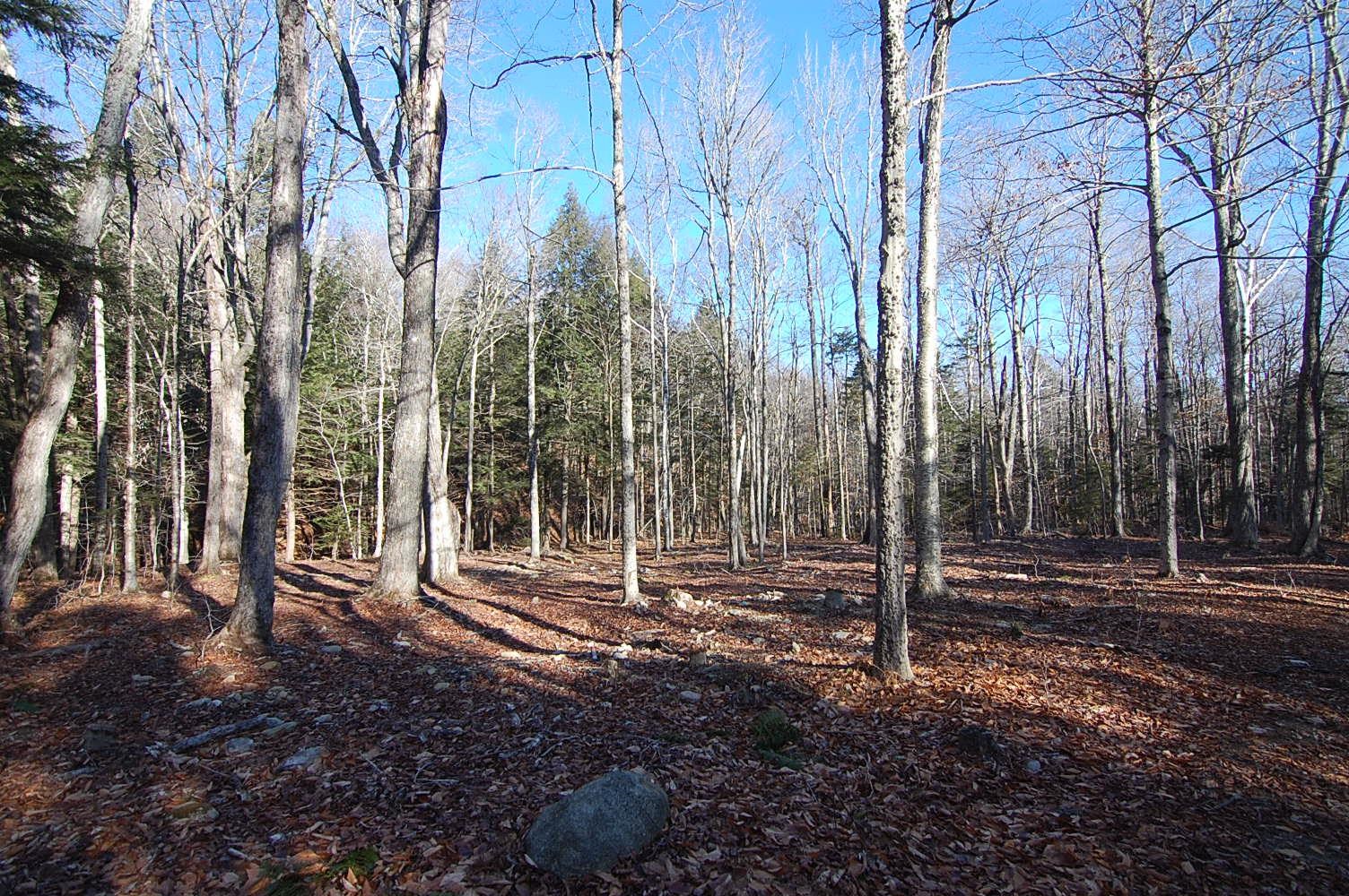 234 Mountain Road Stratton, VT 05360 - Photo 9 of 13