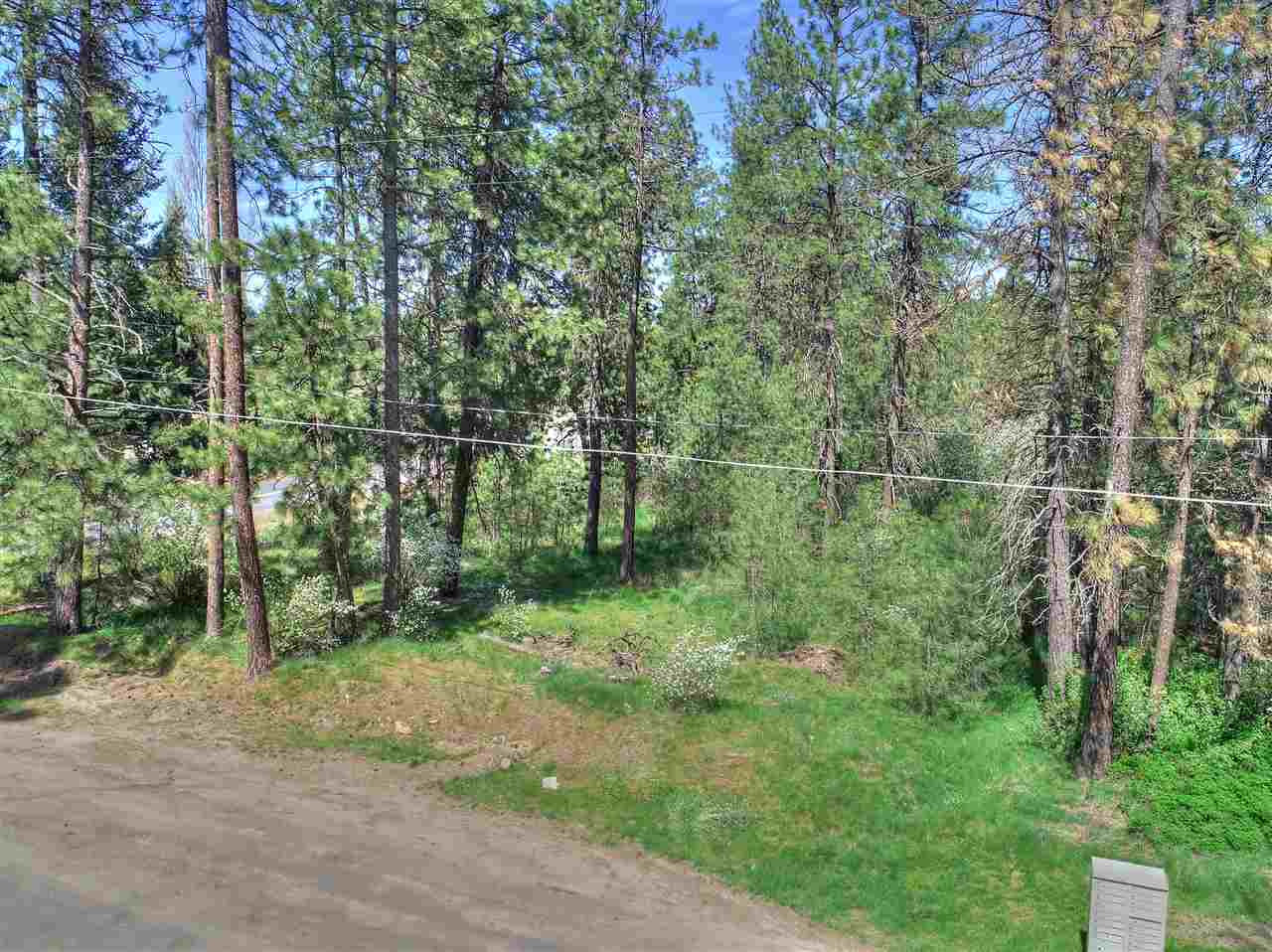 Nhn South Assembly Road, Unit NORTH PARCEL Spokane, WA 99224 - Photo 12 of 14