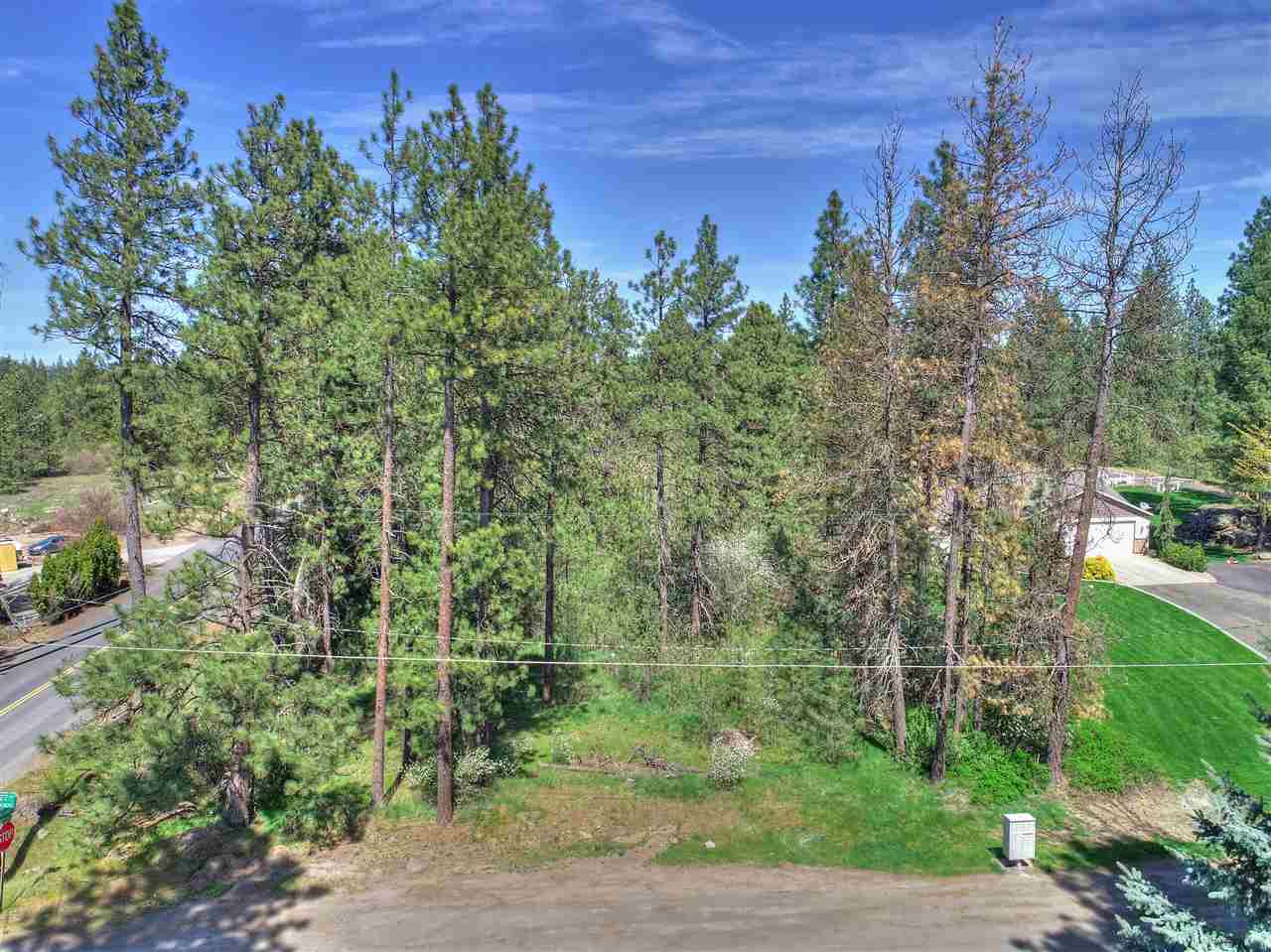 Nhn South Assembly Road, Unit NORTH PARCEL Spokane, WA 99224 - Photo 14 of 14
