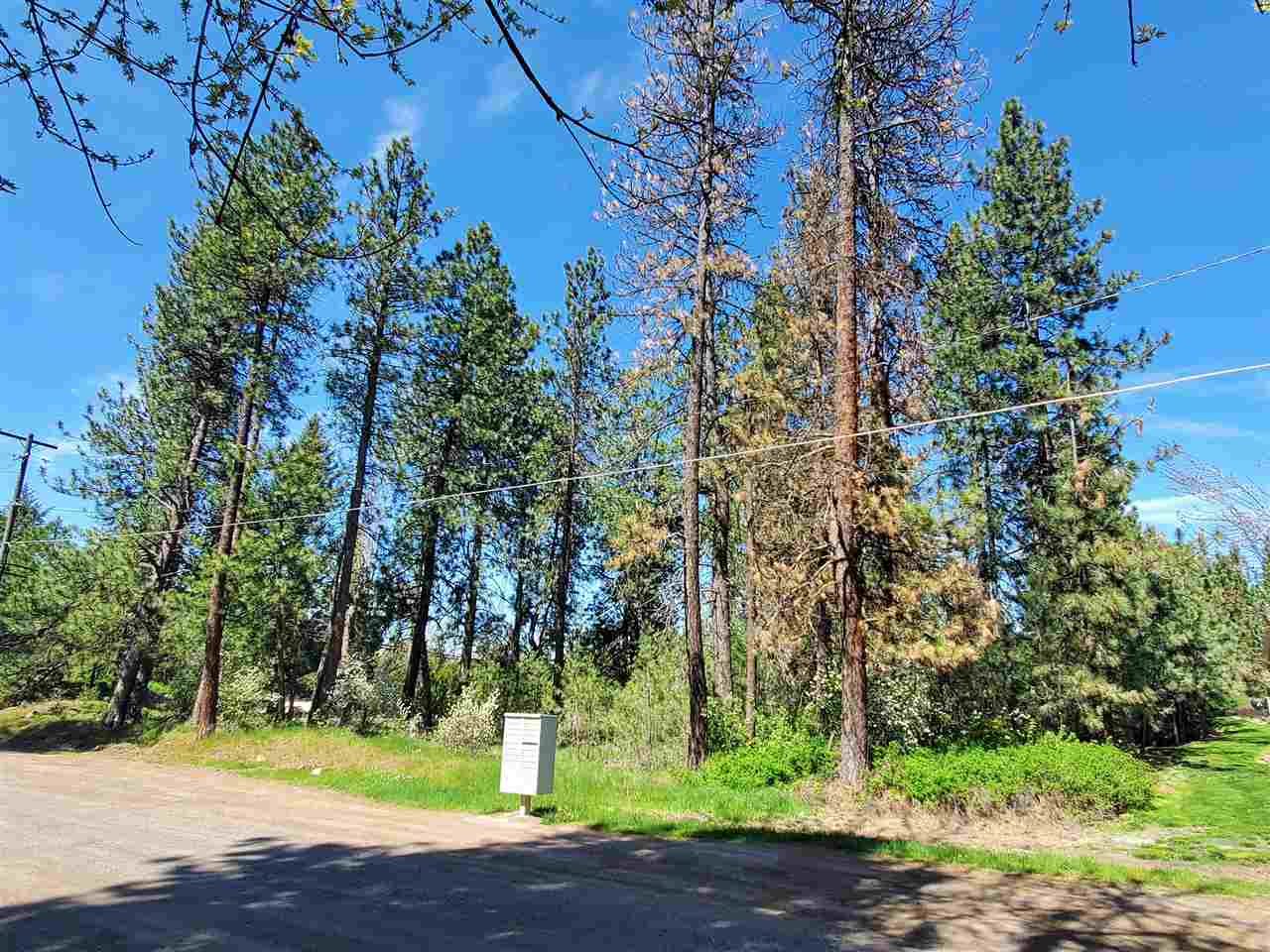 Nhn South Assembly Road, Unit NORTH PARCEL Spokane, WA 99224 - Photo 3 of 14