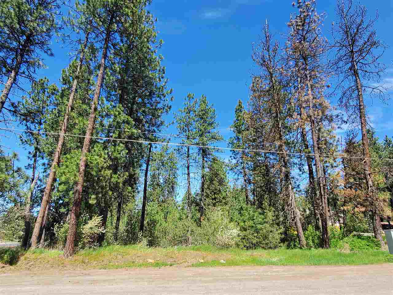 Nhn South Assembly Road, Unit NORTH PARCEL Spokane, WA 99224 - Photo 4 of 14