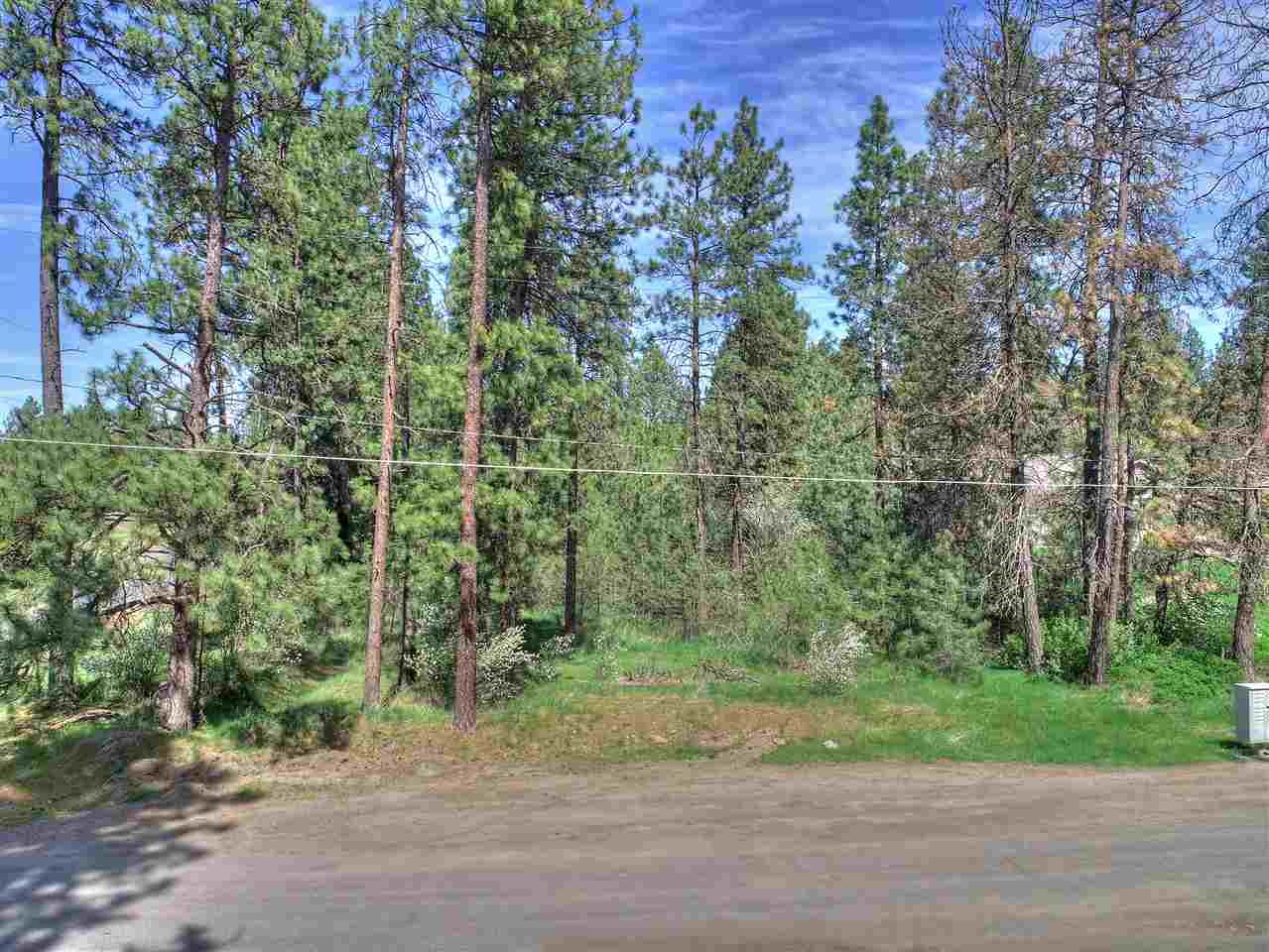 Nhn South Assembly Road, Unit NORTH PARCEL Spokane, WA 99224 - Photo 9 of 14