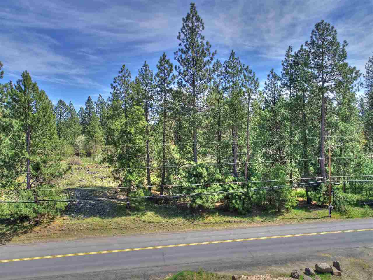 Nhn South Assembly Road, Unit NORTH PARCEL Spokane, WA 99224 - Photo 10 of 14