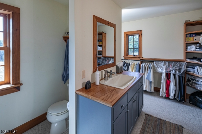 348 Rosemont Ringoes Road Stockton, NJ 08559 - Photo 27 of 42 a bathroom with a sink and a toilet