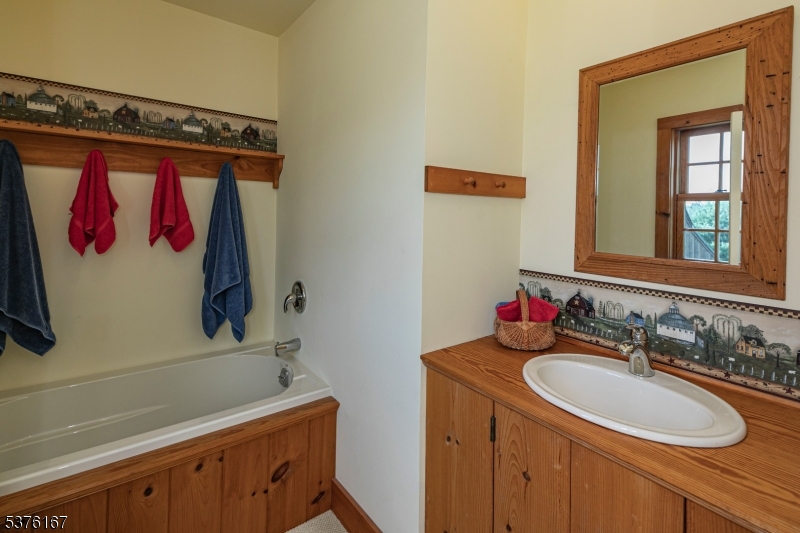 348 Rosemont Ringoes Road Stockton, NJ 08559 - Photo 33 of 42 a bathroom with a sink and a mirror