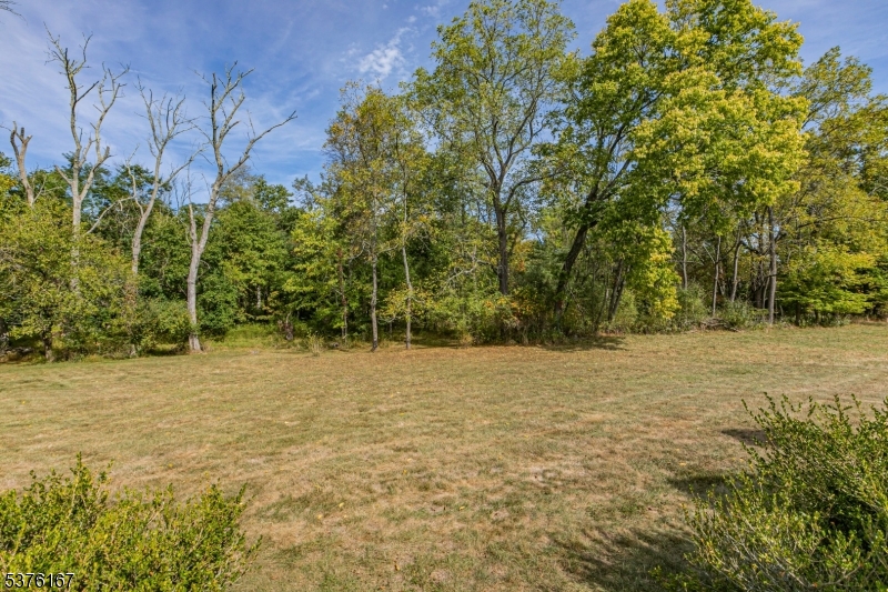 348 Rosemont Ringoes Road Stockton, NJ 08559 - Photo 37 of 42 a backyard of a house with lots of green space