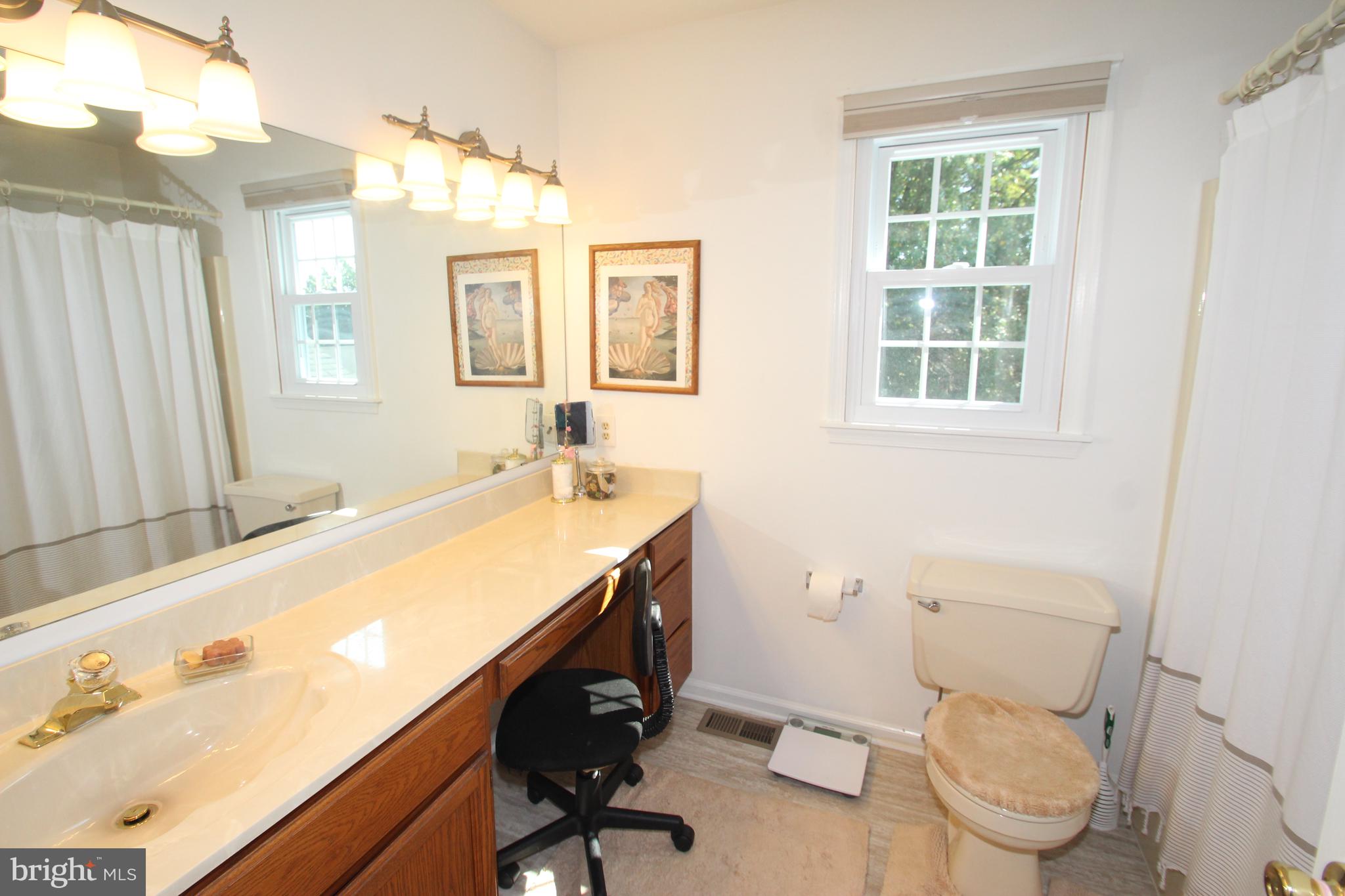 140 Brookview Loop Elkton, MD 21921 - Photo 10 of 18 Master Bath