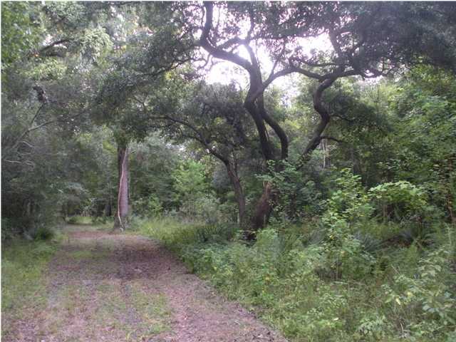 7188 Toogoodoo Road Meggett, SC 29449 - Photo 1 of 4 Primary Photo