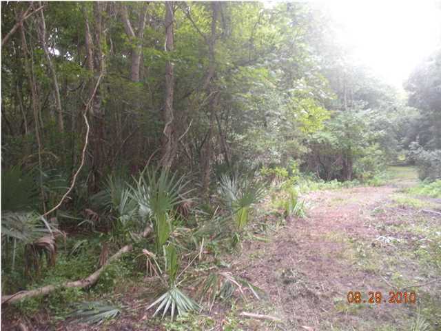 7188 Toogoodoo Road Meggett, SC 29449 - Photo 4 of 4 Additional Photo