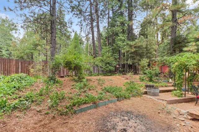 a view of a backyard with hardwood