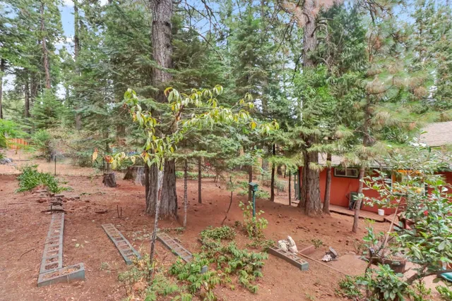 a view of a park with large trees