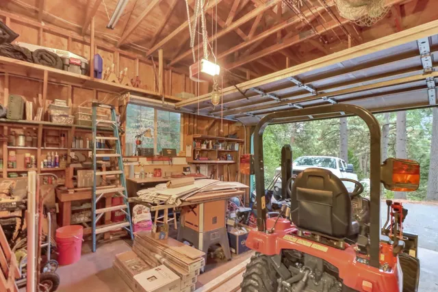 a couple of flower plants and large trees beside of road